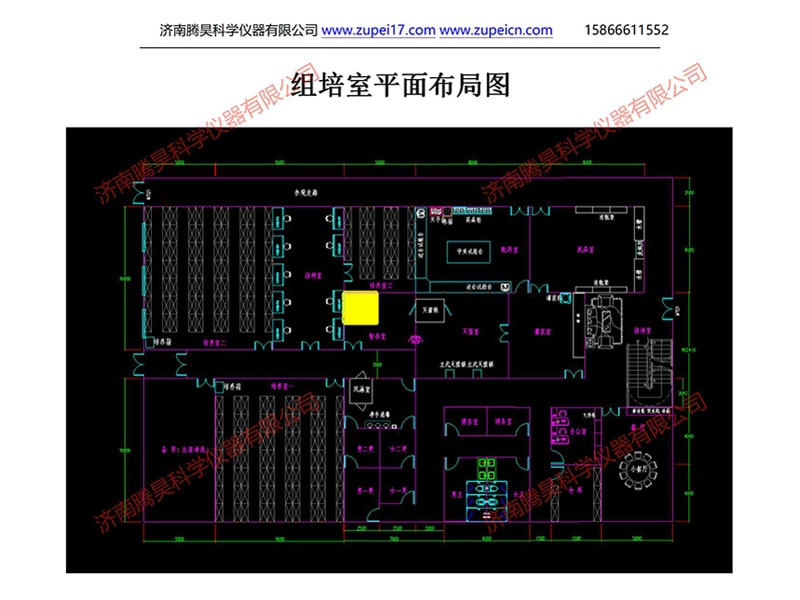 马拉西亚植物精东传媒app下载免费室（培养室）净化设计