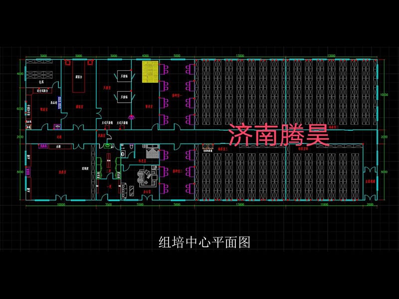 900平米精东传媒app下载免费室平面设计图