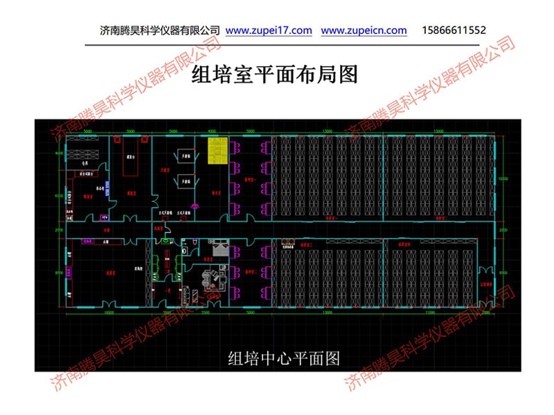 内蒙古植物精东传媒app下载免费室（培养室）净化设计