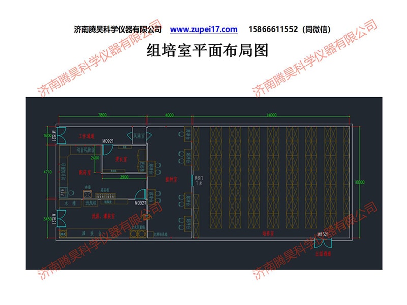 昆明人参果精东传媒app下载免费室建设方案