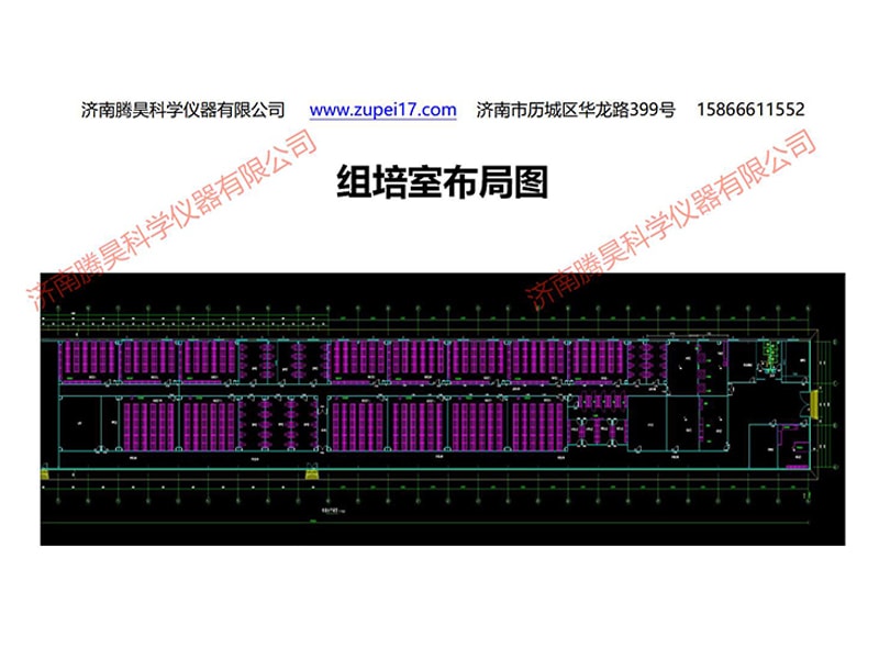 兰州新区精东传媒app下载免费室设计图