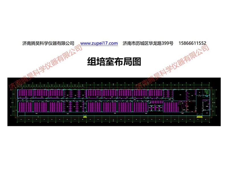 精东传媒app下载免费室