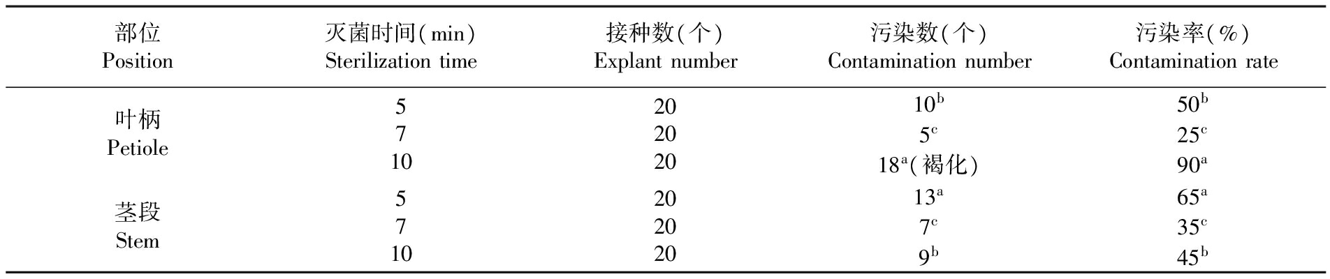 植物精东传媒app下载免费设备