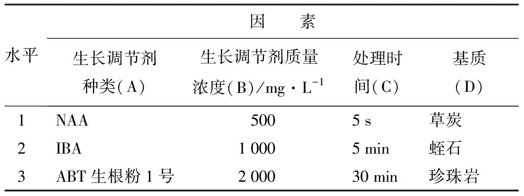 轮生冬青精东传媒app下载免费苗微枝试管外生根技术