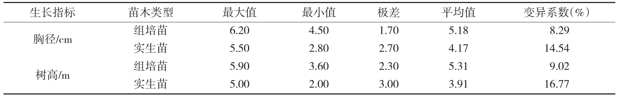 大花序桉精东传媒app下载免费苗15个月龄幼林生长